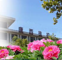 ���P(gu��n)�DƬ